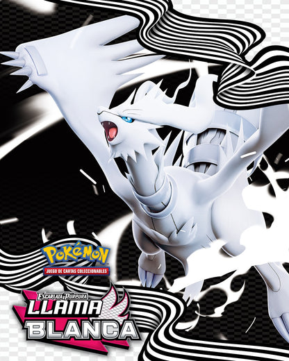 Pokémon | Caja Élite de Entrenador ETB de Llama Blanca SV10.5